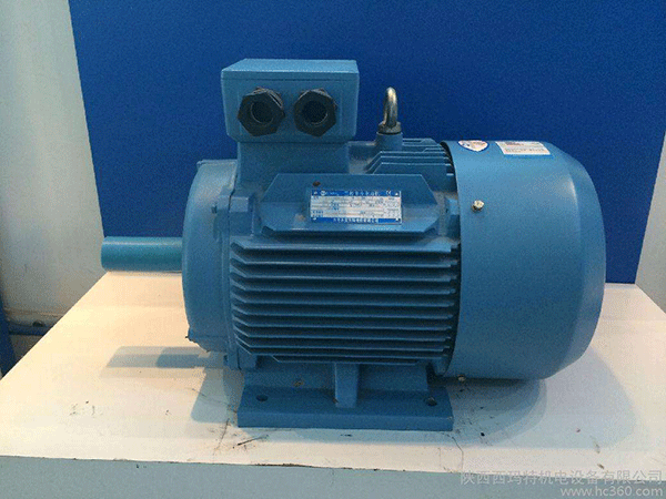 高效節(jié)能電機是西安泰富西瑪未來商業(yè)發(fā)展的方向。