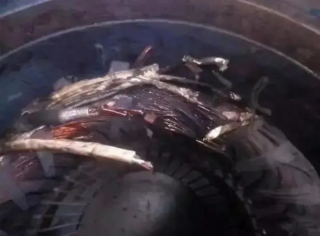 帶熱繼電器保護(hù)的電機頻繁燒毀的原因是什么？